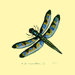 Dragonfly Coaster (Set of 4)