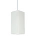 Gran 1 Light Pendant