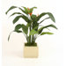 Heliconia Leaf Floor Plant in Stoneware