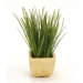 Faux Succulent Grass in Square Planter (Set of 2)