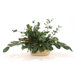 Silk Magnolia Foliage in Planter