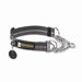 Chain Reaction Dog Collar