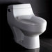 One Piece Toilet
