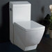 One Piece Toilet