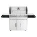 Mirage Gas Grill with Infrared Rear and Side Burner