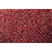 Lil Wooly Red Rug