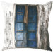 Single Door Print Pillow