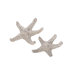 Sea Star Ornamental