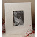 Classic Style Frame