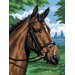 Painting by Numbers Artist Canvas Series Thoroughbred Set