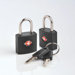 TSA Identi Lock (Set of 2)