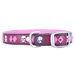 All Style Argyle Pirate Punch No Stink Dog Collar
