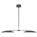 2 Light Pendant in Anthracite