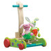 Hopping Bunny Walker Push Toy