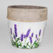 Lavender Flower Pot