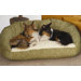 Deluxe Bolster Dog Bed in Microfiber