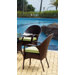 Bahia Bistro Wicker Dining Arm Chair