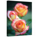 Kathy Yates ''Rose Trio'' Canvas Art