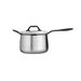 Limited Edition Butterfly Stainless Steel 4-qt. Saucepan with Lid