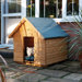 Medium Dog Kennel