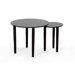Trevino 2 Piece Nesting Tables