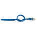 Fashion Tubular Leather Dog Collar in Blue