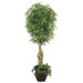 Realistic Willow Ficus Tree in Decorative Planter