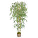 6' Silk Bamboo Tree with Wicker Basket Planter