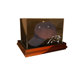 Boardroom Cap Display Case