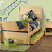 Alegria Twin Sleigh Bed in Natural Maple