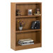 Essentials 48" X 31" Tall Bookcase in Cappuccino