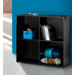 Atom Double Open Storage Module