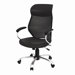 Manager Mesh and Leather Care Chair
