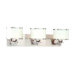 Basking Ridge 3 Light Bath Vanity Light