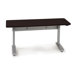 Ergonomic Elevate II Electric Lift Table