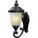 Carriage House ES 26" One Light Outdoor Wall Lantern in Oriental Bronze