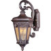 Lexington VX 11"  Outdoor Wall Lantern