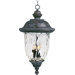 Carriage House VX 25" Outdoor Hanging Lantern