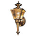 Builder Brass  Wide Outdoor Wall Lantern in Polished Brass with Arm