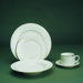 Double Gold Line 10.25" Dinner Plate 
