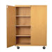 Mobile Shelf Storage Cabinet