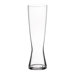 Tall Pilsner Glass (Set of 2)