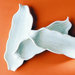 Decorative Corn Shell