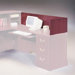 Wyndham 13" H x 48" W Desk Reception Screen