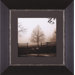 Morning Texture Framed Artwork