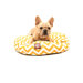 Zig Zag Round Pet Bed