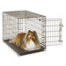 Economy Crate Black Folding Wire Dog Crate