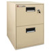 1 Hr Fireproof Key Lock 2 Drawer File Safe