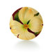 Autumn Memories Small Floral Porcelain Decorative Plate