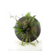 Mixed Succulents and Foliage in Wall Sconce